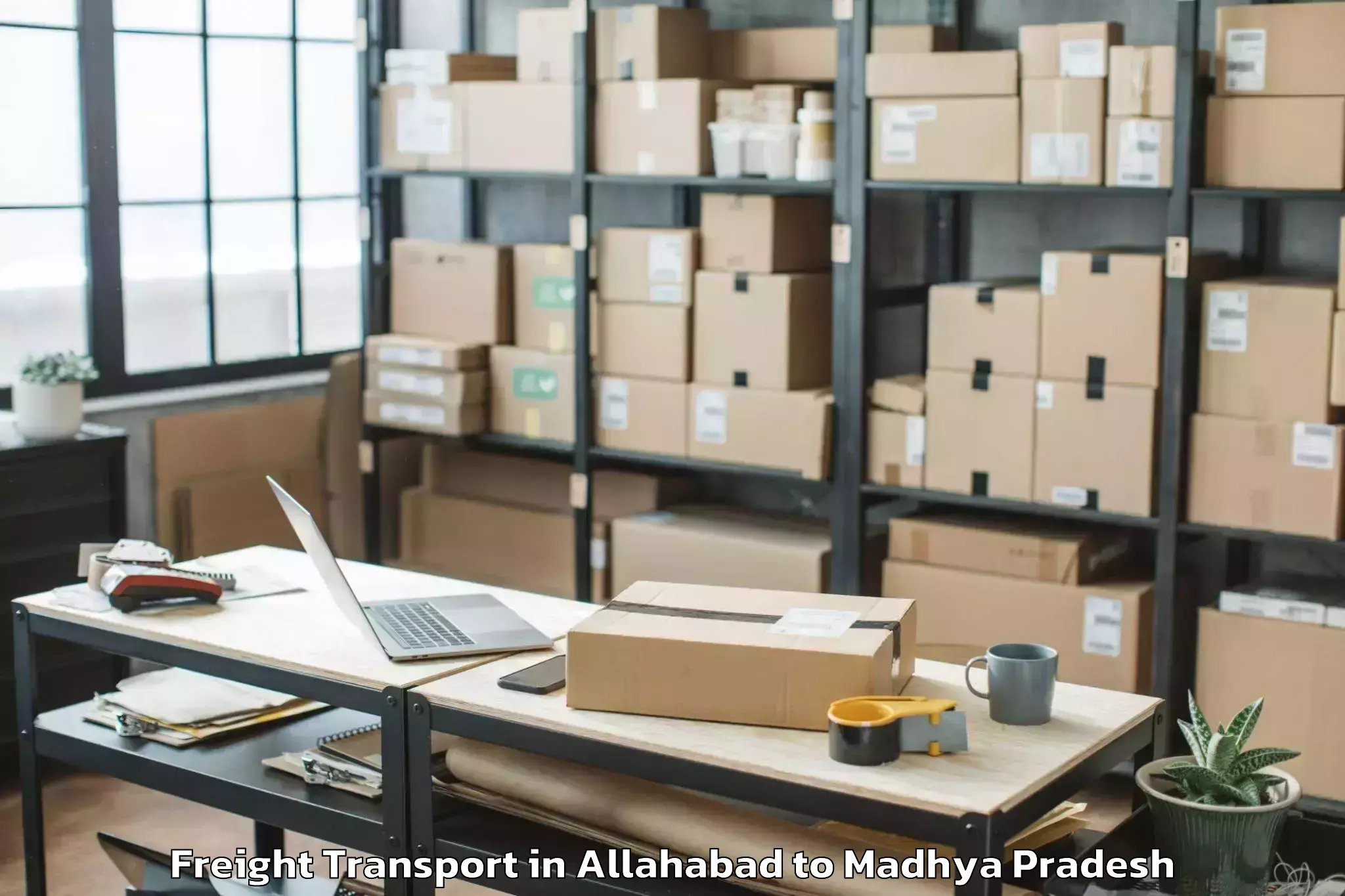 Professional Allahabad to Manawar Freight Transport